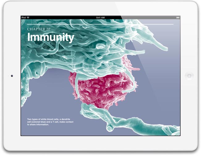 Apple #iPad 5 Saldría En Septiembre Y Con Mayor Autonomía.